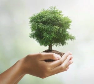 Licenciamento ambiental