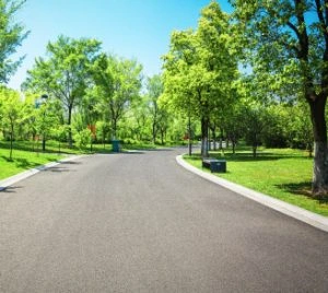 Projeto de Arborização